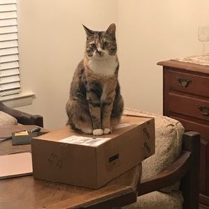 Meet your Posher, Susan